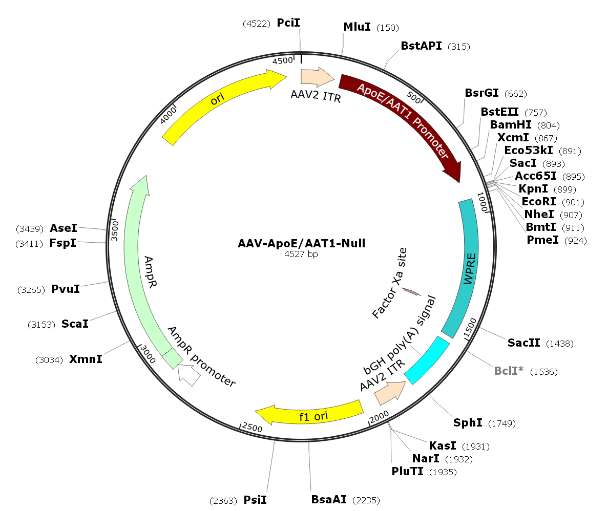 Pre-made recombinant AAV; AAV-ApoE/AAT1-Null; AAV9-ApoE/AAT1-Null
