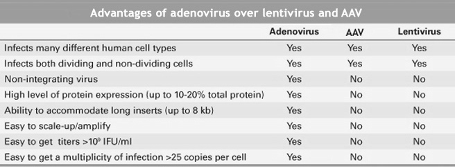 Advantages of adenovirus over lentivirus and AAV