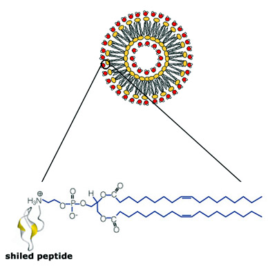 Cationic Pic Reagent