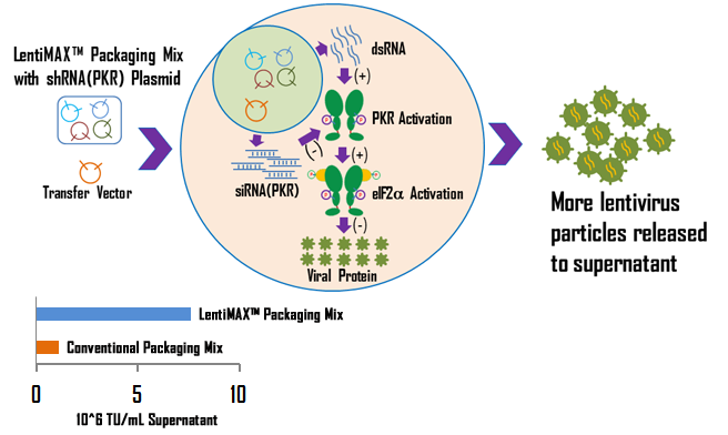 how the LentiMax™ Packaging System works.