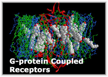 G-protein Coupled Receptors