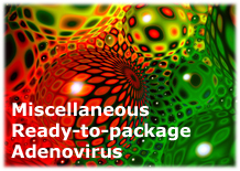Miscellaneous Ready to Package Adenoviruses